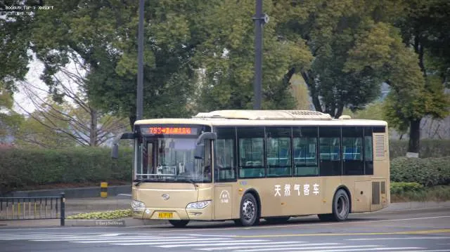 浙A 7P161