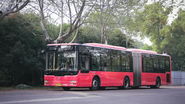 苏B B9898