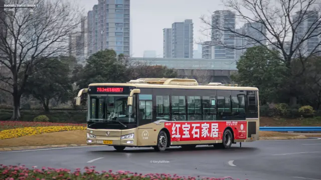 浙A 8P237
