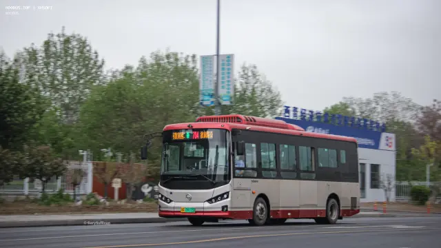 津A 09113D