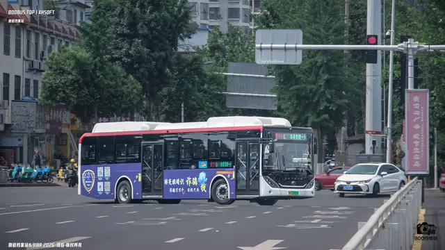 鲁Q 00882D