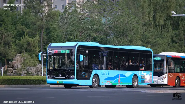 鲁Q 06116D