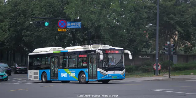 浙A 05802D