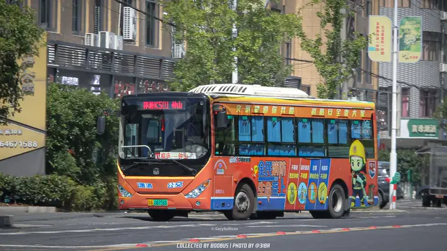 浙A 08758D