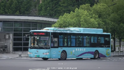 浙A 00052D