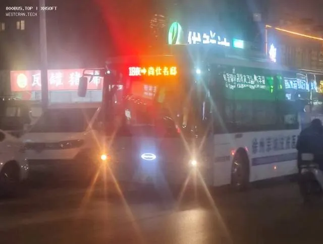 苏C06303D