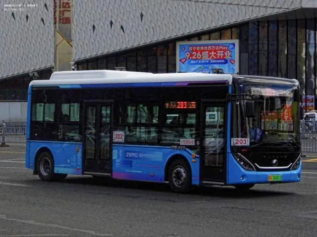 黑A 08401D