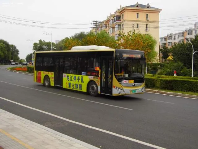 黑A 00368D