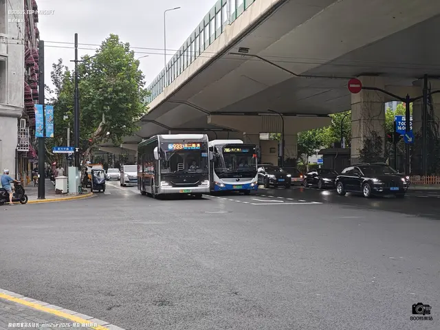左沪A 31250D 右沪A 39332D
