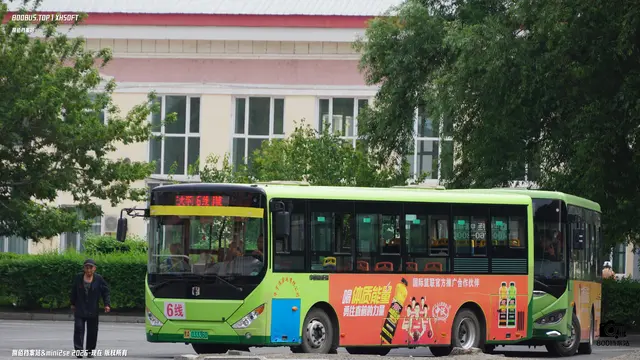 800BUS