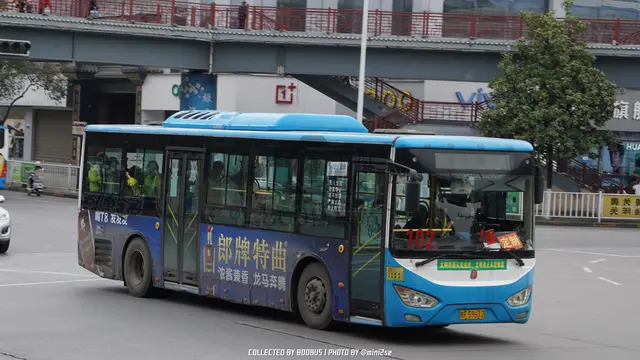陕F 59612