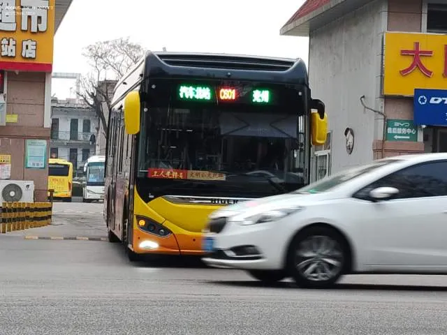 鲁H·02933D