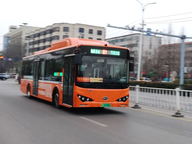 800BUS