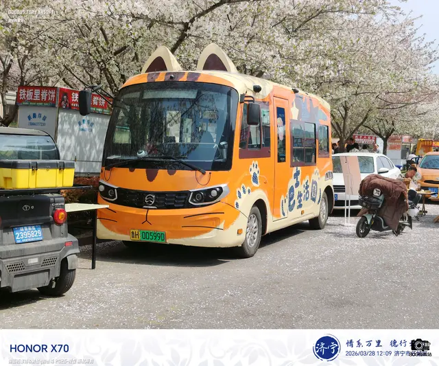 鲁H 00599D