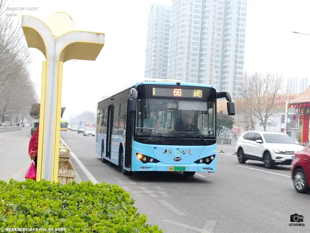鲁H 09503D