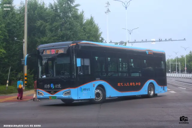 鲁H 07818D