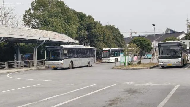 沪苏（昆）两地公交同框