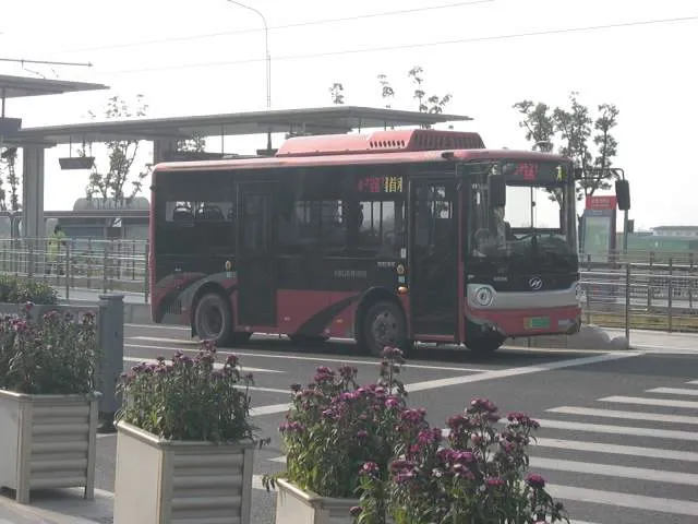 苏E 00808D