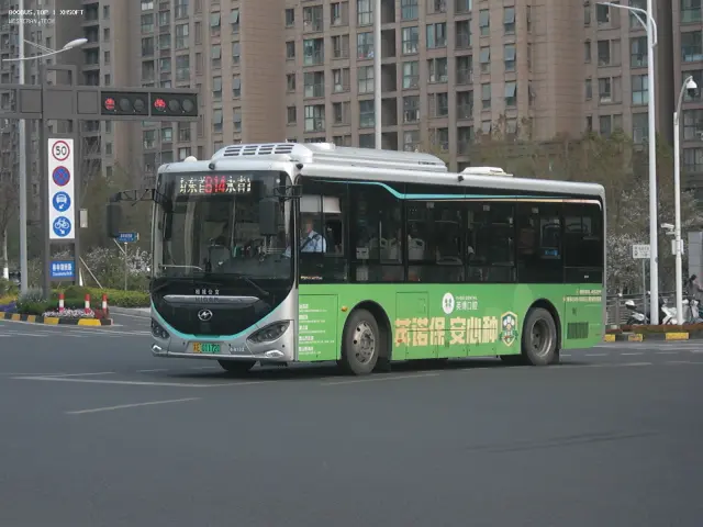 800BUS