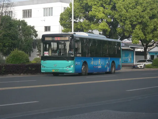 800BUS