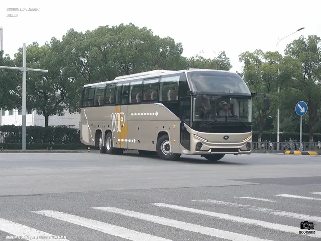 未上牌