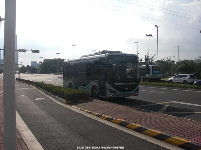 苏E 07878D