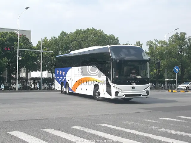 未上牌