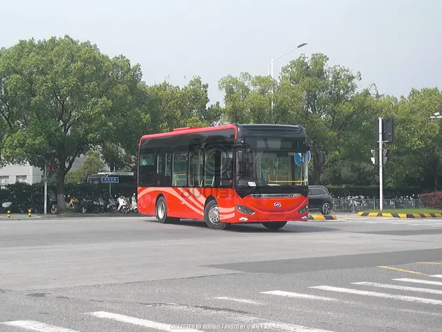 未上牌