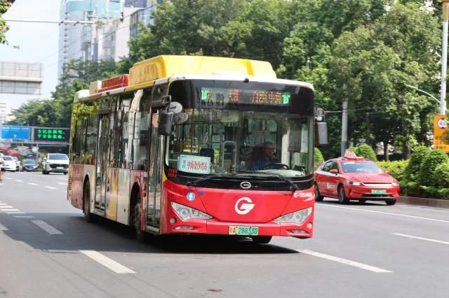 粤A28833D
