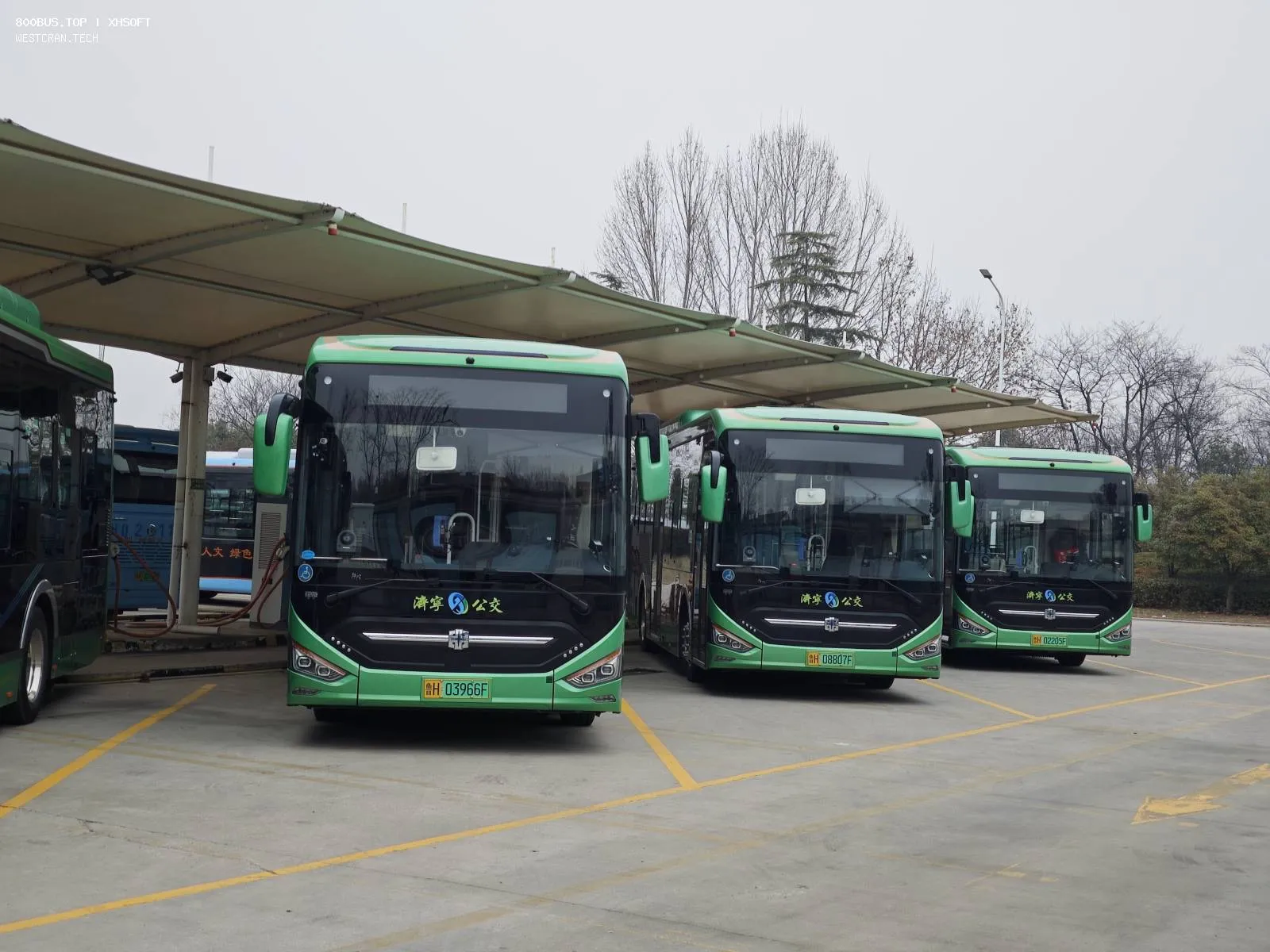 Bus Archive