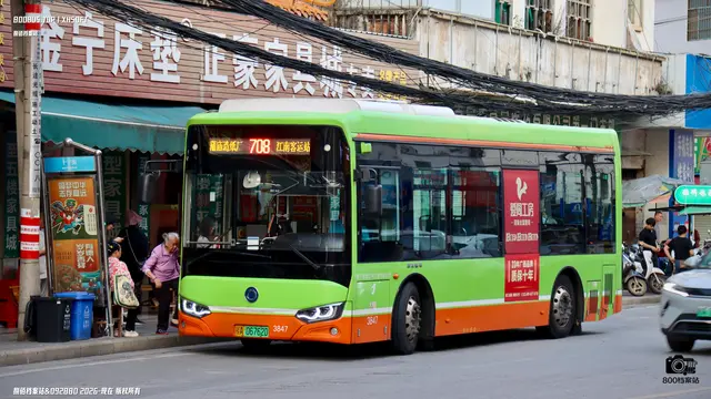 800BUS