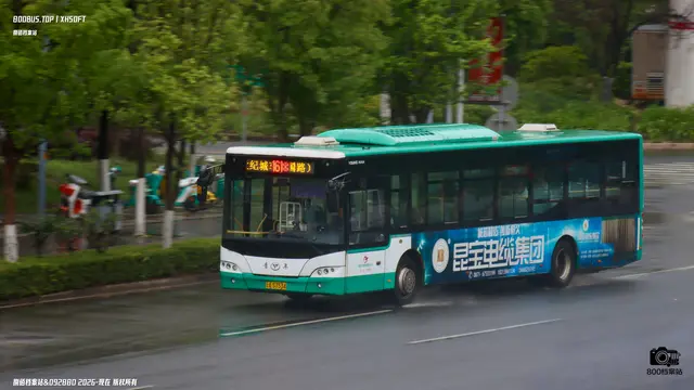800BUS