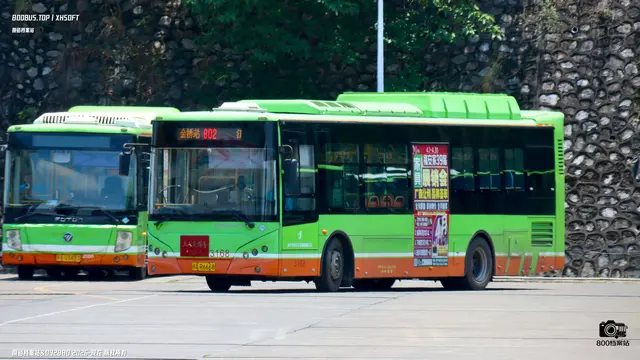 800BUS
