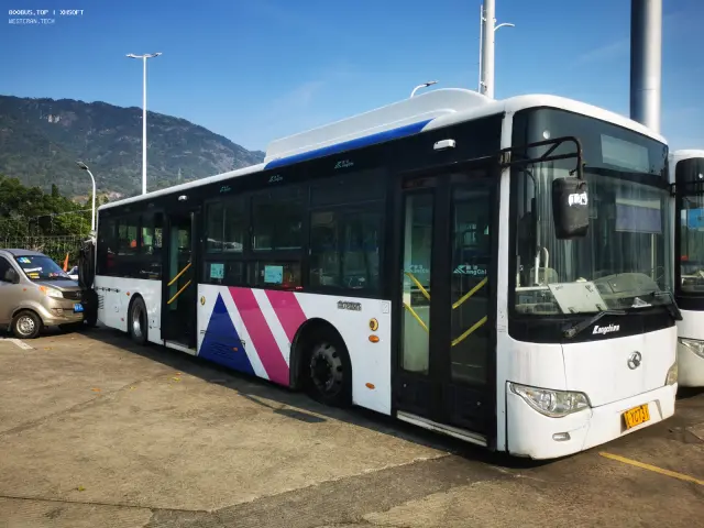800BUS