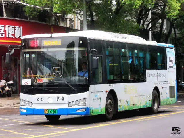 800BUS