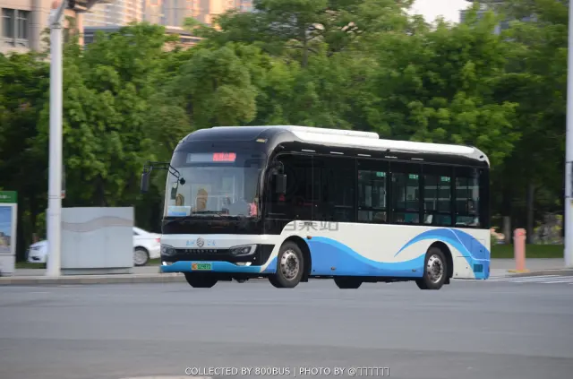 闽C 02987D