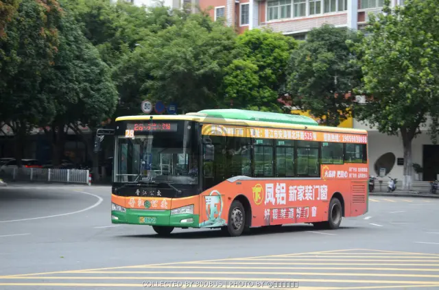 闽C 03962