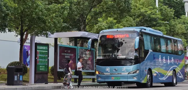 闽A 03565D