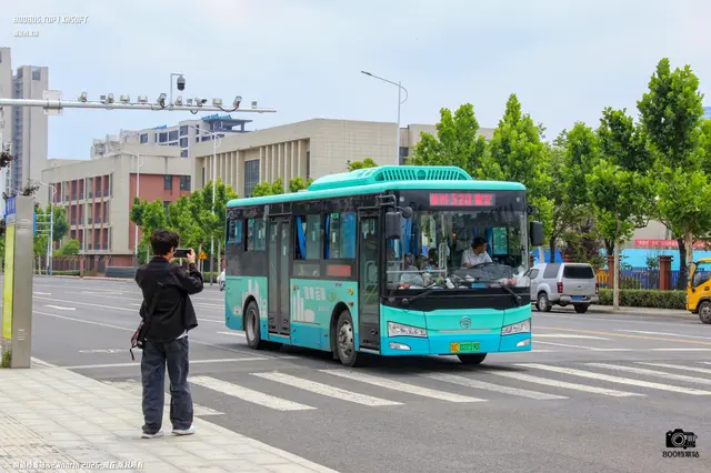 800BUS