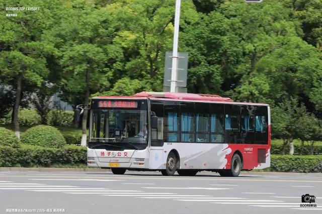 800BUS