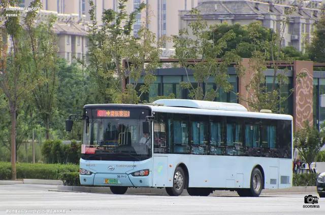 800BUS