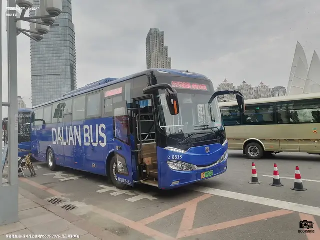 辽B 09003D
