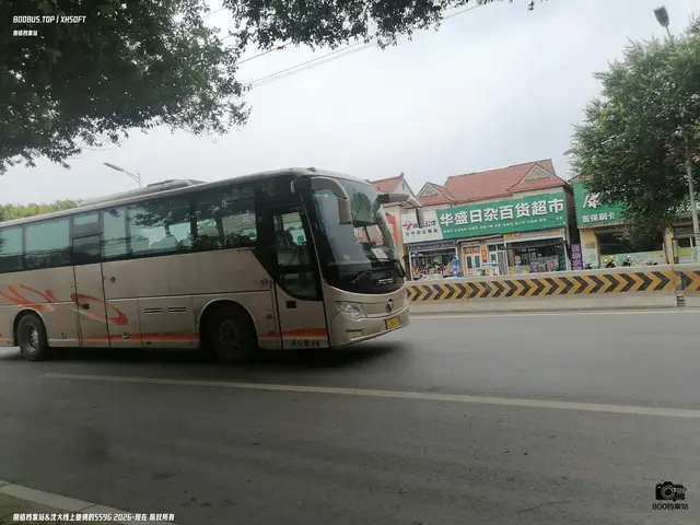 辽C B8469