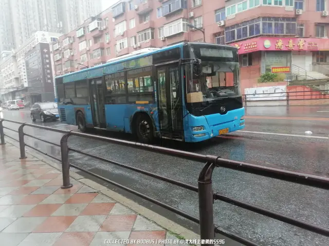 辽C B2588