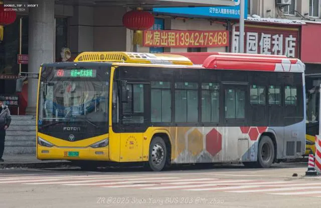 辽E06176D