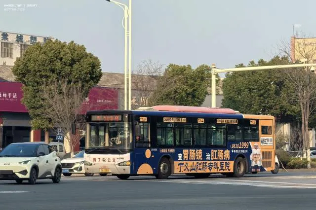 苏A.E7305