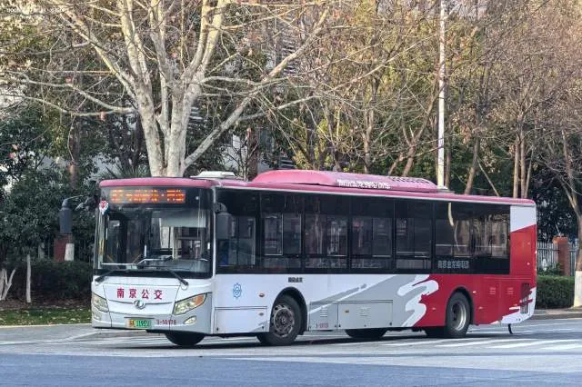 苏A.11955D