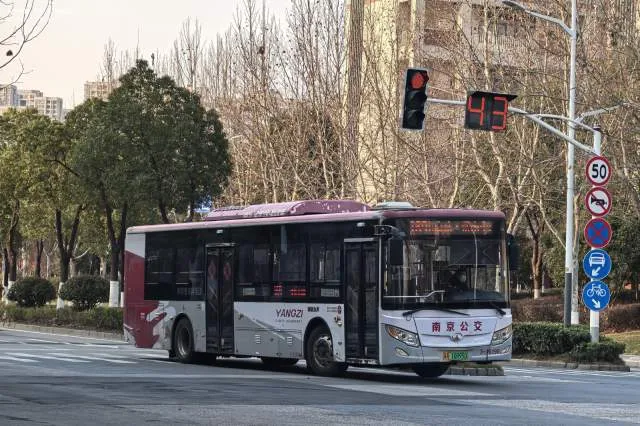 苏A.10895D