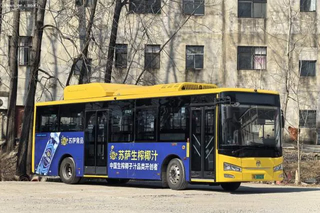 苏N.06603D