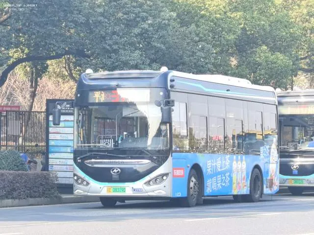 苏E.08319D